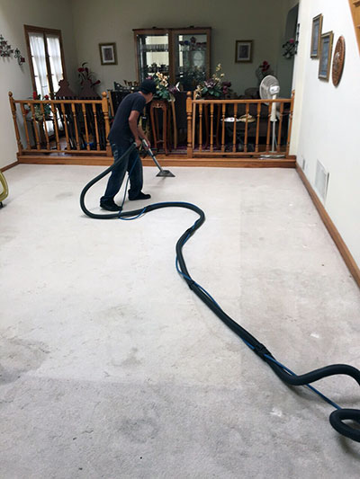 Rug Cleaning in California